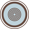 Group-31556